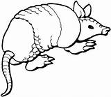 Armadillo Coloring Pages Cartoon Color Printable Animal Clipart Clip Texas Armadilo Cliparts Print Clipartbest Sheet Nine Banded Super Animals Quiz sketch template