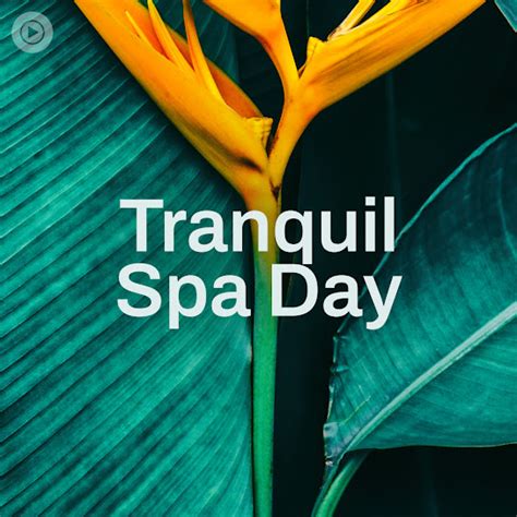 tranquil spa day