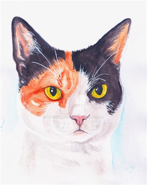 calico cat portrait  yukichan  deviantart