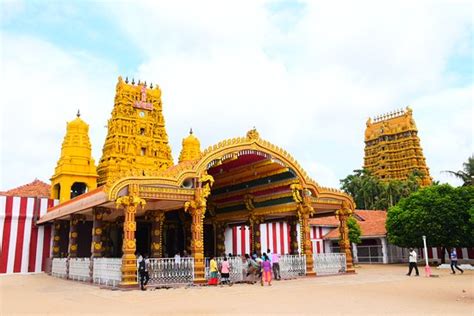 nallur kovil jaffna tripadvisor