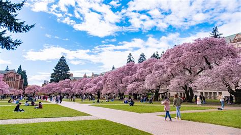 university  washington ranks   beautiful college campuses