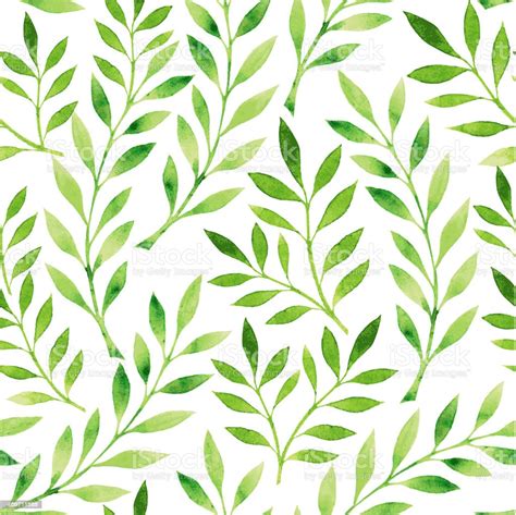 A Drawing Of A Pattern Of Green Leaves On A White Background Stock