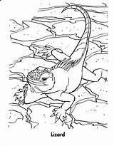 Reptile Lizard Reptiles Eidechse Ausmalbilder Coloringtop Ausmalbild Ccoloring Caecilian Amphibian Coloringpages234 Letzte sketch template