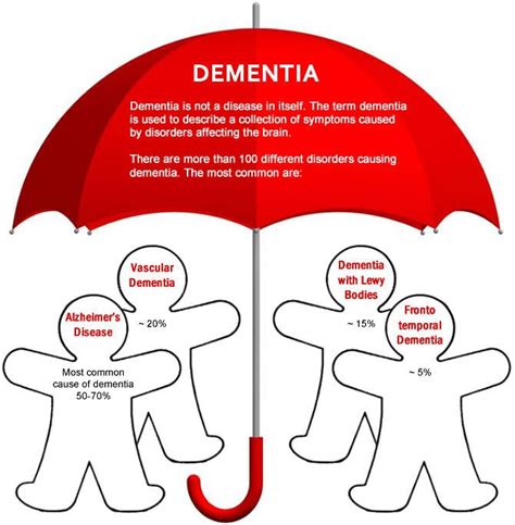 dementia alzheimers disease  dementia