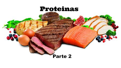 cuales proteinas ganan mas gluteos parte 2 proteinas youtube
