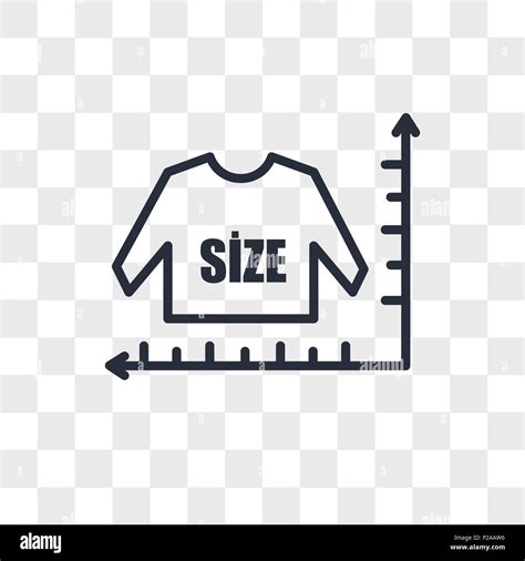 size chart vector icon isolated  transparent background size chart logo concept stock vector