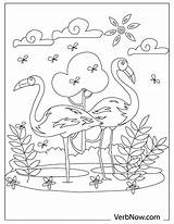 Flamingos Verbnow Illustration sketch template
