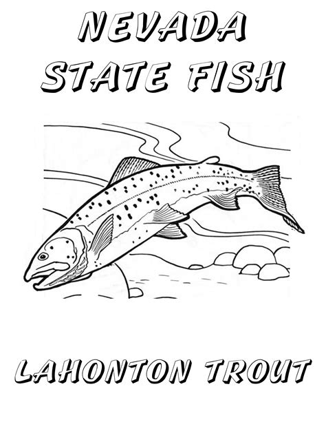 trout coloring pages  getdrawings