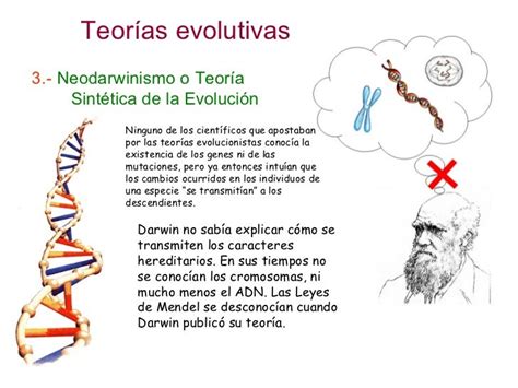 Evolución 3 Teorías Evolutivas