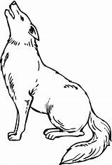 Coyote Coloring sketch template