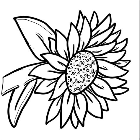 flower coloring pages wecoloringpagecom