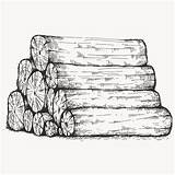 Wood Sketch Log Premium Piled Vector sketch template