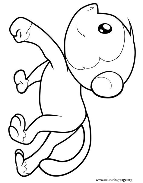 cute baby monkey coloring pages coloring home