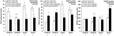 Placental Growth Factor Levels In Quadriceps Muscle Are Reduced By A
