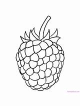 Raspberries Needlepoint sketch template