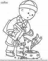 Caillou Coloring Pages Printable Canadian Kids Color Library Sarah Print Children Adults Everfreecoloring Clipart Popular Template Szinezo sketch template