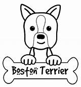 Coloring Terrier Pages Boston Getcolorings sketch template