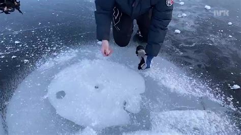 dumpertnl methaanbubbels  het ijs