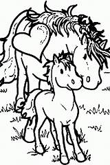 Coloring Baby Pages Horse Colouring Horses Moody Judy Popular Mom Coloringhome sketch template