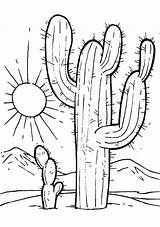 Coloring Pages Sonoran Desert Getdrawings Sunsets sketch template