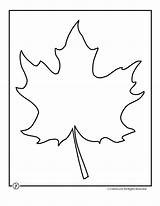 Leaf Maple Template Outline Sycamore Printables Printable Clip Clipart Large Kids Blank Templates Fall Coloring Line Jr Pattern Trace Oak sketch template