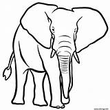 Coloriage Savane Elephant Africaine Dessin Imprimer Sauvages sketch template