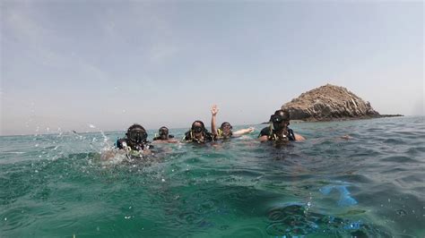 diving fujairah youtube