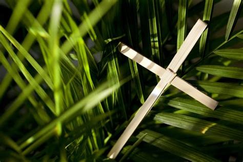 palm sunday   happened  palm sunday