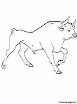 Bull Coloring Pages Red Getcolorings Getdrawings Printable sketch template