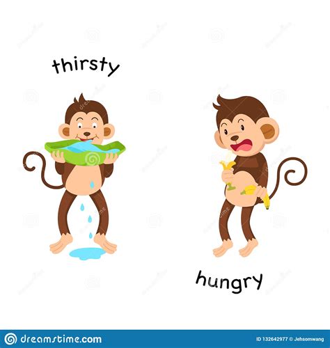Opposite Thirsty And Hungry Stock Vector Illustration Of