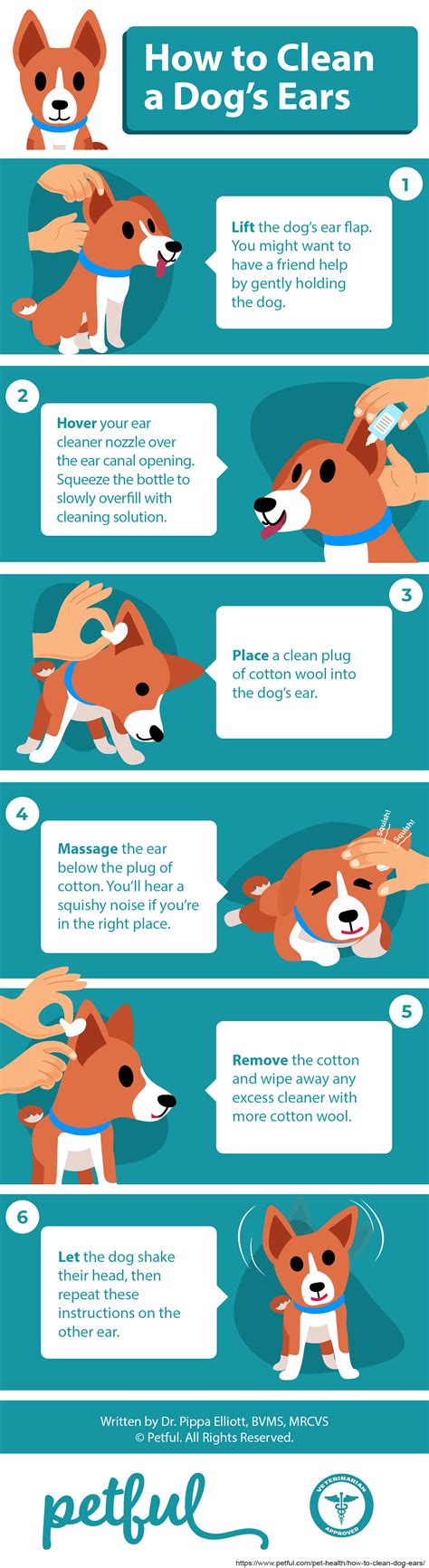 clean dog ears  expert guide vet approved advice