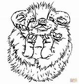 Porcupine Coloring Cute Baby Pages Drawing Printable Line Color Supercoloring Version Click Getdrawings Porcupines Print Colorings Designlooter Paintingvalley Getcolorings Categories sketch template