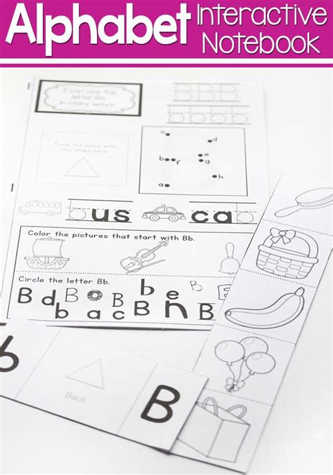 alphabet interactive notebook  printable pack  letter recognition