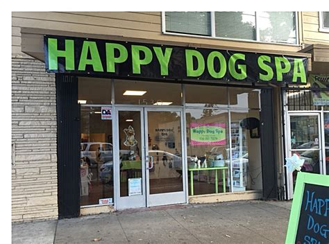 dog grooming oakland ca happy dog spa boutique