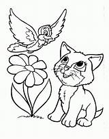 Cat Hat Coloring Pages Printable Library Clipart Colour Popular sketch template