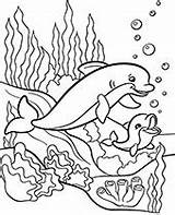 Coloring Dolphins Pages Dolphin Baby Children Sea Water Animals Kids Printable Animal Topcoloringpages Print Color Ocean Two Toddlers Mommy Adult sketch template