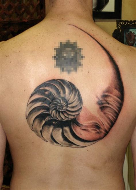shell tattoos    sea life