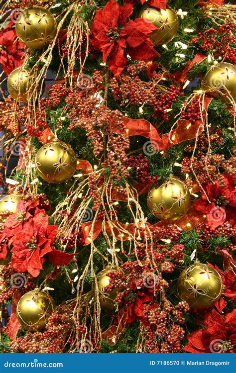de rode decoratie van de kerstboom stock foto image  vissen pijnboom