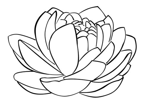 lotus flower templates clipart