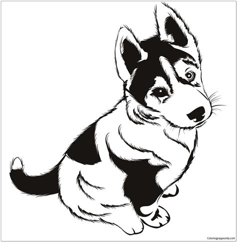 husky puppies coloring page  printable coloring pages