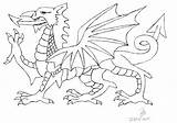 Dragon Welsh Drawing Wales Getdrawings sketch template