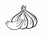 Ajo Garlic Alho Colorir Aglio Desenhos Verduras Coloringcrew Onion Vegetable Alhos Cabeza Acolore Dibuix Verdure Welsh Chives Comida Template sketch template