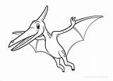 Pteranodon sketch template