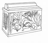 Fish Tank Coloring Aquarium Clipart Awesome Netart Background 52kb Drawings Webstockreview sketch template