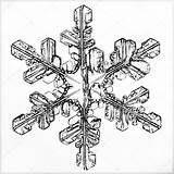 Ice Crystal Drawing Snowflake Macro Stock Foliotek Getdrawings sketch template