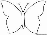 Butterfly Symmetrical Butterflies Bigactivities Insects sketch template