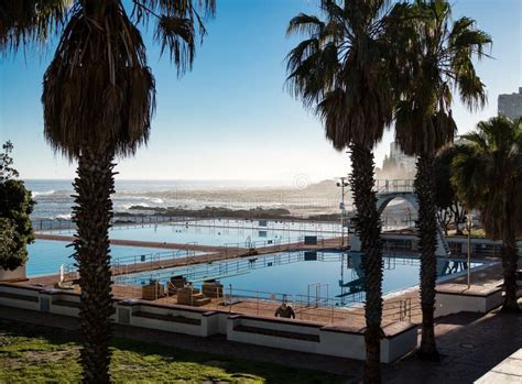 sea point swimming pool cape town stock image image  exercise