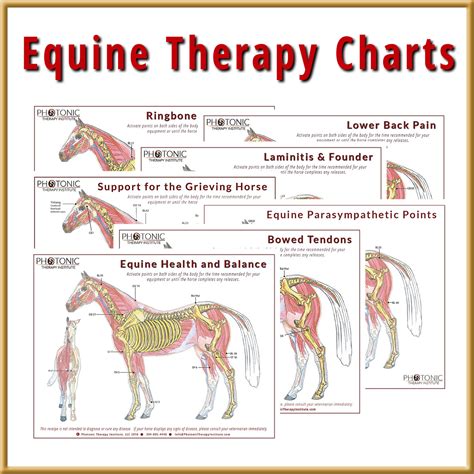 charts books special  archives photonic therapy institute