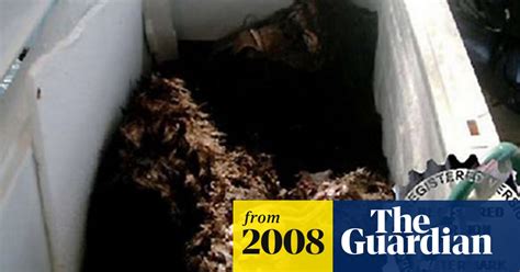 bigfoot discovery confirmed as fake us news the guardian
