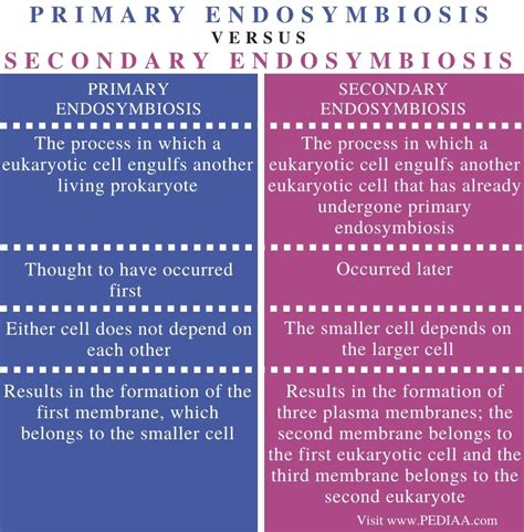 primary  secondary endosymbiosis